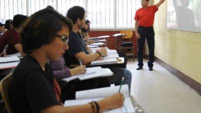 Los docentes serán nombrados en 2018.