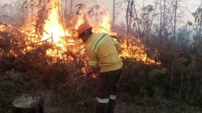 Foto: La Prensa