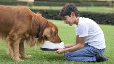 Según estudios, los niños que tienen una mascota en casa se enferman menos y son más felices.