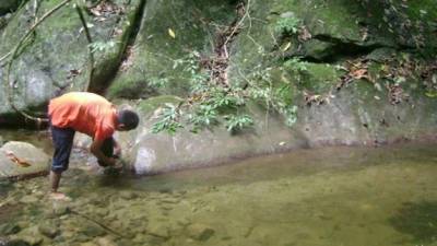 Las fuentes de agua nacen en la montaña municipio de Tela.