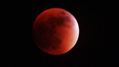 La luna de sangre se formó a las 8:11. Así se vio en el cielo de San Pedro Sula. Foto: Guilmor García.