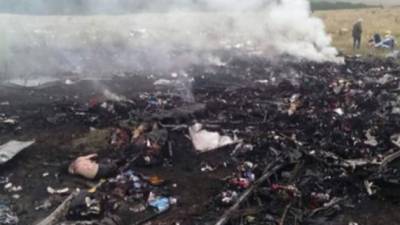 n Boeing-777 con 295 personas a bordo de la compañía Malaysian Airlines se estrelló hoy por causas aún desconocidas en la región oriental ucraniana de Donetsk, el principal escenario de los combates entre las fuerzas gubernamentales y los rebeldes prorrusos.