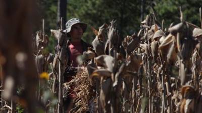 Aunque una característica del fenómeno es provocar más lluvias, los efectos de El Niño prolongarán la temporada seca.