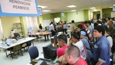 En las primeras horas de la mañana los contribuyentes no sabían adónde hacer fila. Foto: Franklyn Muñoz.