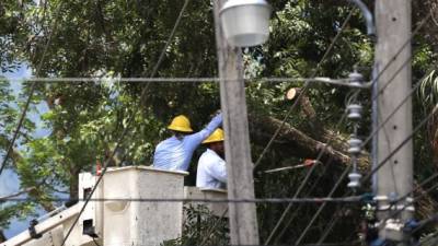 La Enee ha programado trabajos de mantenimiento para este domingo en San Pedro Sula.
