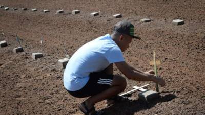 Un voluntario planta cruces en las tumbas de inmigrantes identificados, muertos mientras cruzaban la frontera.