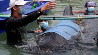 Se ha denunciado que ocho millones de toneladas de basura van a parar todos años a los océanos. EFE