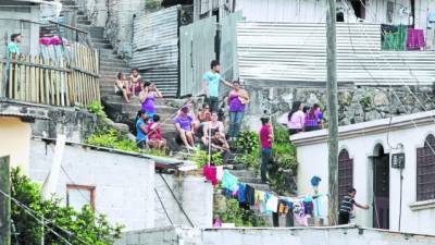 Vecinos de la colonia capitalina 14 de Enero estaban alarmados por el hecho.