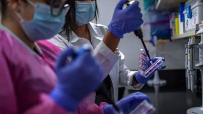 Panamá quiere contribuir al esfuerzo mundial para hallar tratamientos contra el nuevo coronavirus.