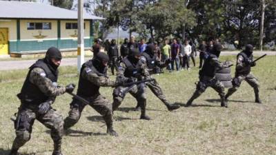 La Policía Militar en ejercicios de entrenamiento.