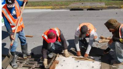 Cuadrillas municipales se dedican a realizar estas labores en barrios y colonias de la ciudad ante el constante hurto de las piezas.