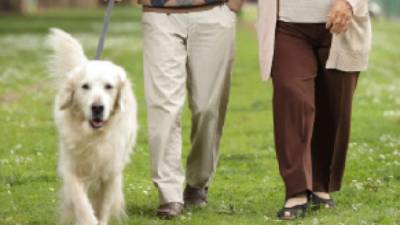 Salir a pasear con su perro puede ser una gran terapia física y mental, especialmente para personas de tercera edad.