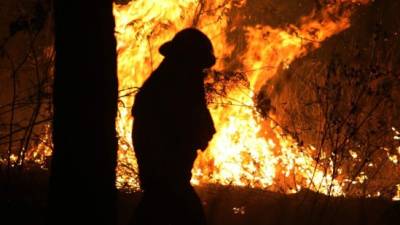 Comparando los primeros meses de 2013 y 2014, este año ha habido menos incendios.