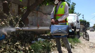 Labor. Fumigaciones se harán en colonias durante el fin de semana.