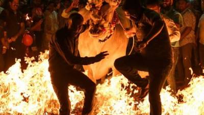 Los pobladores de India realizan el ritual en busca de fortuna y protección. Foto AFP