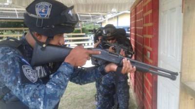 La policía Tigres fue creada en junio de 2013 adscrita a la Dirección de Unidades Especiales.