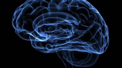 El análisis del cerebro puede llegar a encontrar una cura contra el Alzheimer.