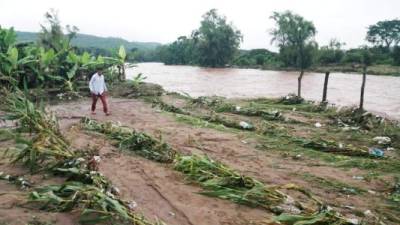 Un agricultor supervisa los daños en su pequeña finca en el norte de Honduras tras el paso de Iota.