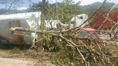 Camión choca contra árbol tras esquivar a turismo en Choloma, Cortés.