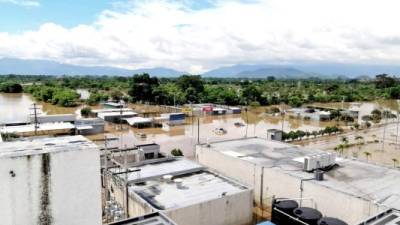 El parqueo y otras zonas se volvieron a llenar ayer.