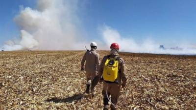 El humo y las cenizas de los incendios en Poconé se han desplazado hasta Cuiabá y su región metropolitana.