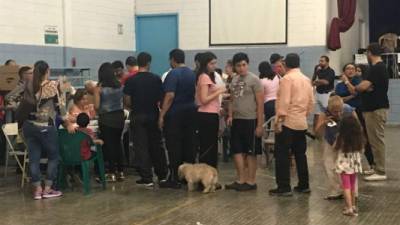 La perrita 'Linda' acompañó a sus dueños a votar en la escuela Valle de Sula de la colonia Jardines Del Valle.