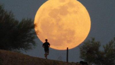 ARCHIVO - En imagen de archivo del 14 de noviembre de 2016, las siluetas de los Ã¡rboles destacan frente a una superluna en Silverthorne, Colorado. (AP Foto/Jack Dempsey, archivo)