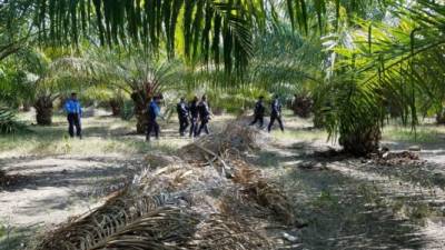 Policías rastrean la zona donde ocurrió el enfrentamiento con supuestos mareros.