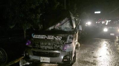 Una palmera cayó sobre un bus rapidito, lo que dejó dos personas lesionadas.