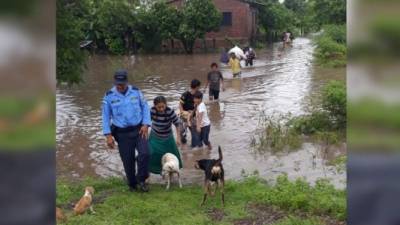 Pérdidas humanas y cuantiosos daños dejan las lluvias que azotan la región sur.