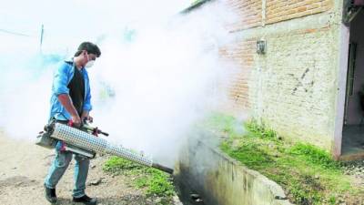 El fin de semana anterior, las autoridades sanitarias hicieron una nueva fumigación en la capitalina colonia Hato de Enmedio.