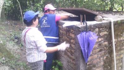 Trabajan en la eliminación de criaderos.