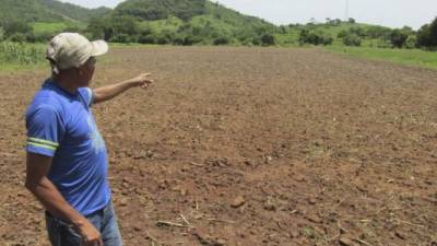 Un productor señala su terreno dañado en Valle.