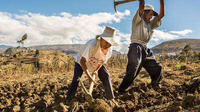 La estrategia impulsada desde la Secretaría de Agricultura y Ganadería trabaja para que los pequeños, medianos y grandes productores puedan enfrentar el fenómeno de “El Niño”.