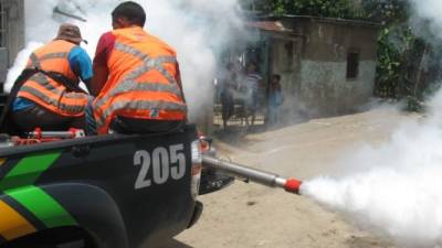 Obreros fumigando en Chamelecón.