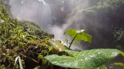El mundo celebra hoy el Día de la Tierra. Una imagen de las cataratas de Pulhapanzak en Honduras. Foto: La Prensa.