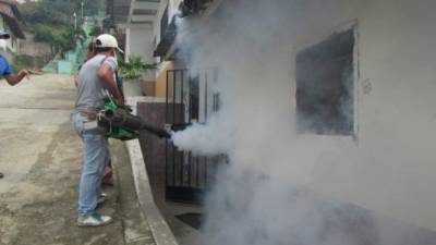 Jornada de fumigaciÃ3n en DanlÃ­ para prevenir zancudo del Dengue.