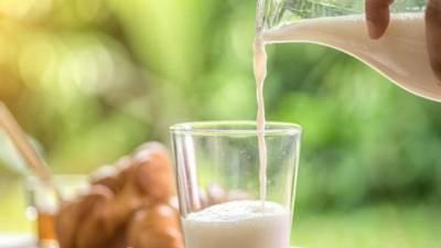 Muchos creen que la leche cruda es más saludable porque contiene probióticos, pero eso no fue lo que los investigadores encontraron.