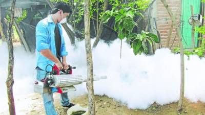 Los trabajos de fumigación contra el dengue continúan en todo el país.