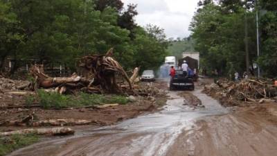 Las fuertes lluvias han causado varios derrumbes en diferentes tramos carreteros del país, especialmente en occidente. foto: mariela tejada
