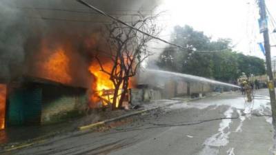 Elementos del Cuerpo de Bomberos se encuantran en el lugar intentando controlar el siniestro.