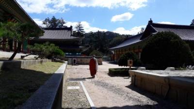 Un monje budista camina por una de las veredas del templo Woljeongsa, el cual está compuesto por 60 templos y 8 ermitas.