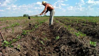 Un agricultor labra la tierra en una zona de Brasil.