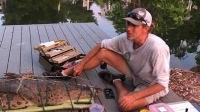 Los cocodrilos americanos suelen vivir en el sur de Florida en hábitats de agua salada como pantanos.