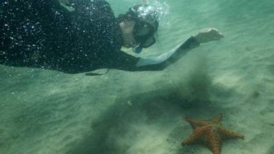 El banco de las estrellas en Trujillo recibe cada vez más turistas, es por eso que buscan conservarlo.