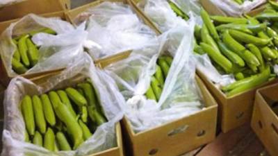 Los bananos estaban camuflados en una caja de bananos. Foto Archivo.