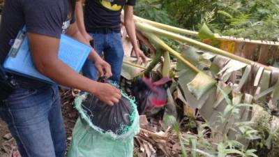 Las autoridades hallaron un lugar en donde tenían droga introducida en sacos y bolsas plásticas.