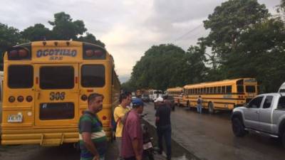 Unidades del transporte público paralizadas en San Pedro Sula.