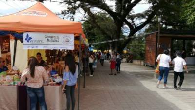 Muchas personas visitaron la ciudad con ocasión del festival.