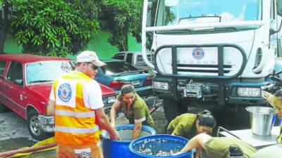 Foto: La Prensa